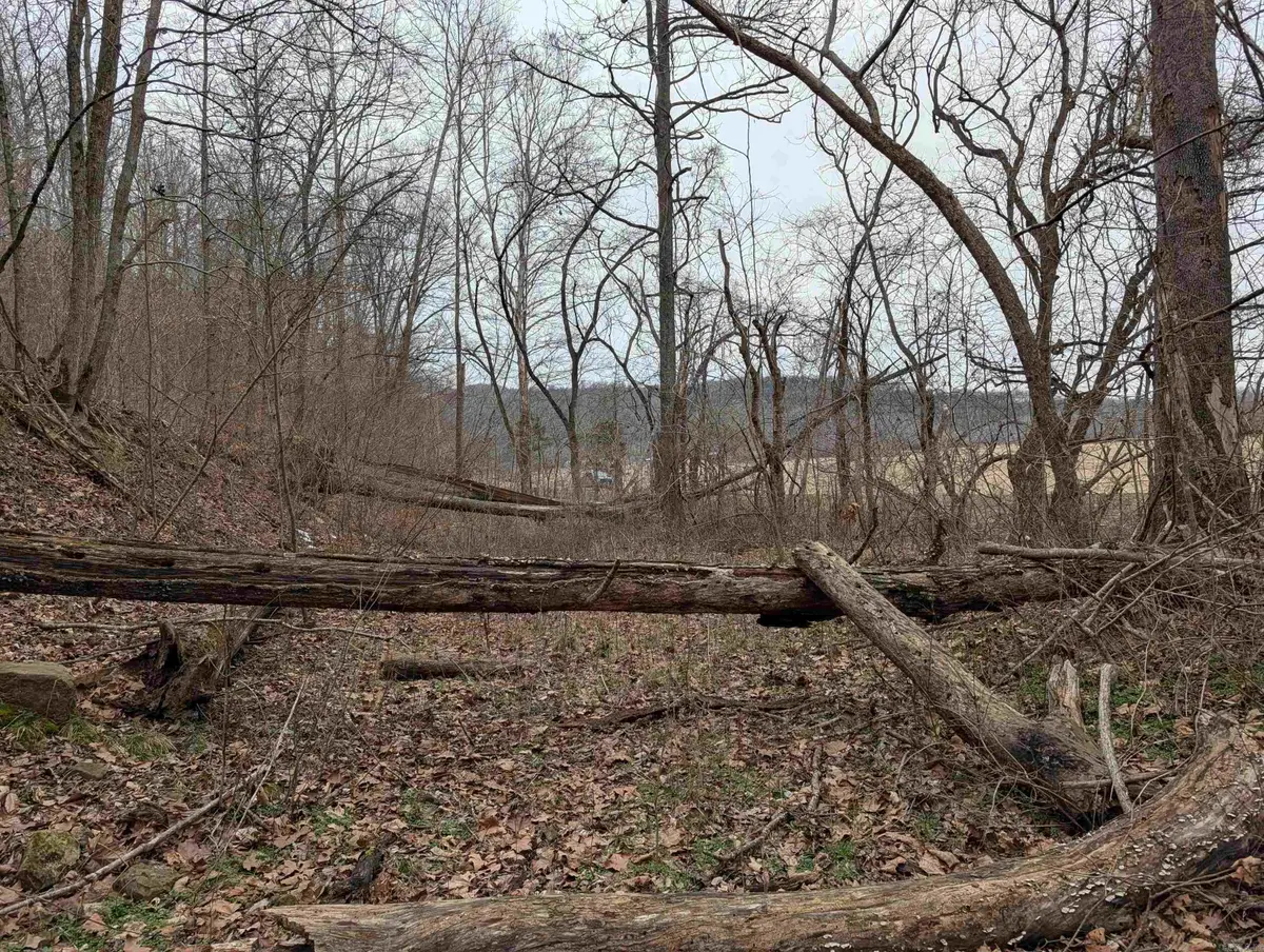 412 Hwy 412 Highway, Osage, AR 72638 - #1