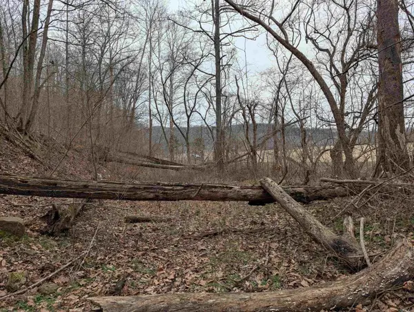 412 Hwy 412 Highway, Osage, AR 72638