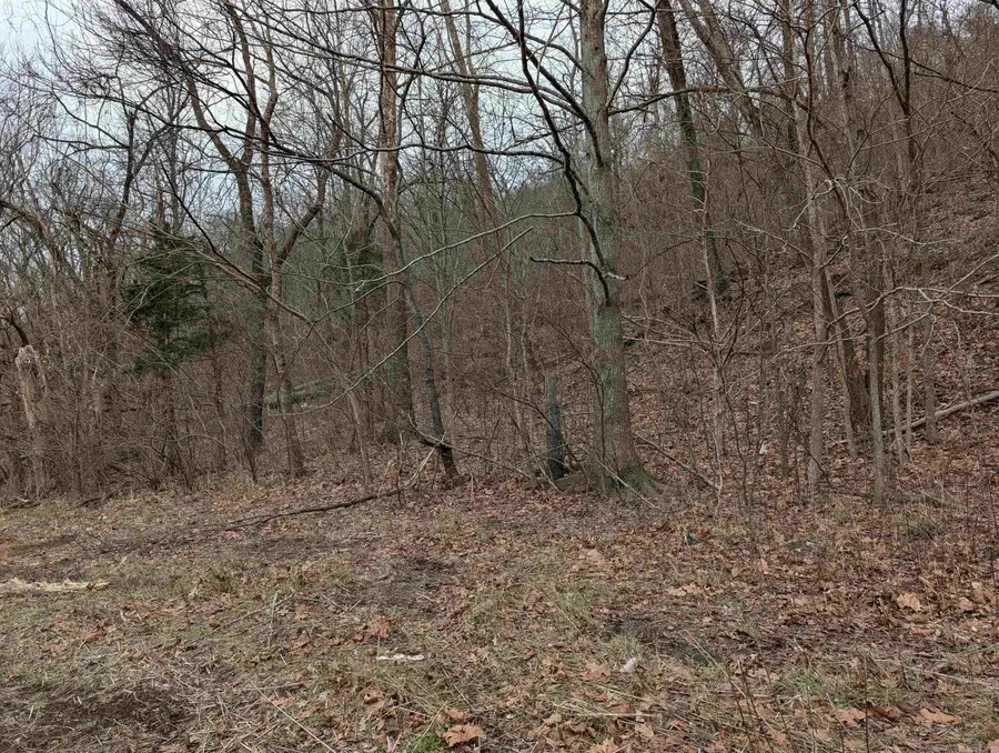 412 Hwy 412 Highway, Osage, AR 72638 - #2