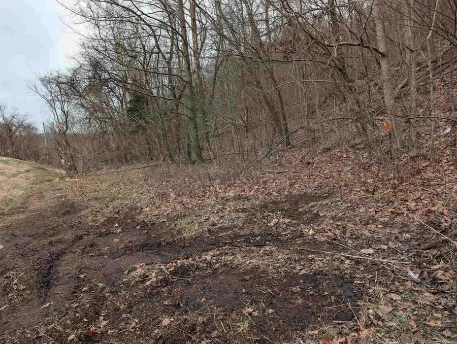 412 Hwy 412 Highway, Osage, AR 72638 - #3