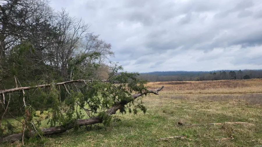 TBD Albert Pike Rd, Royal, AR 71968 - #3