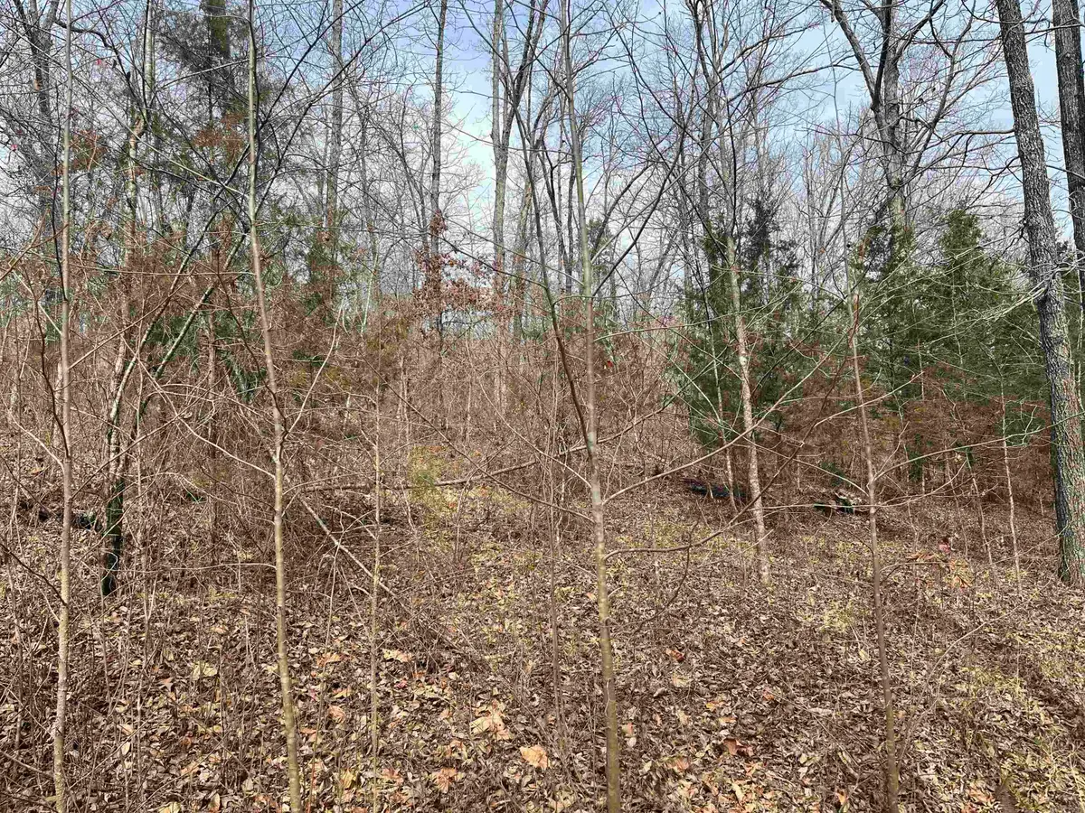 00 Endline Road, Marshall, AR 72650 - #1