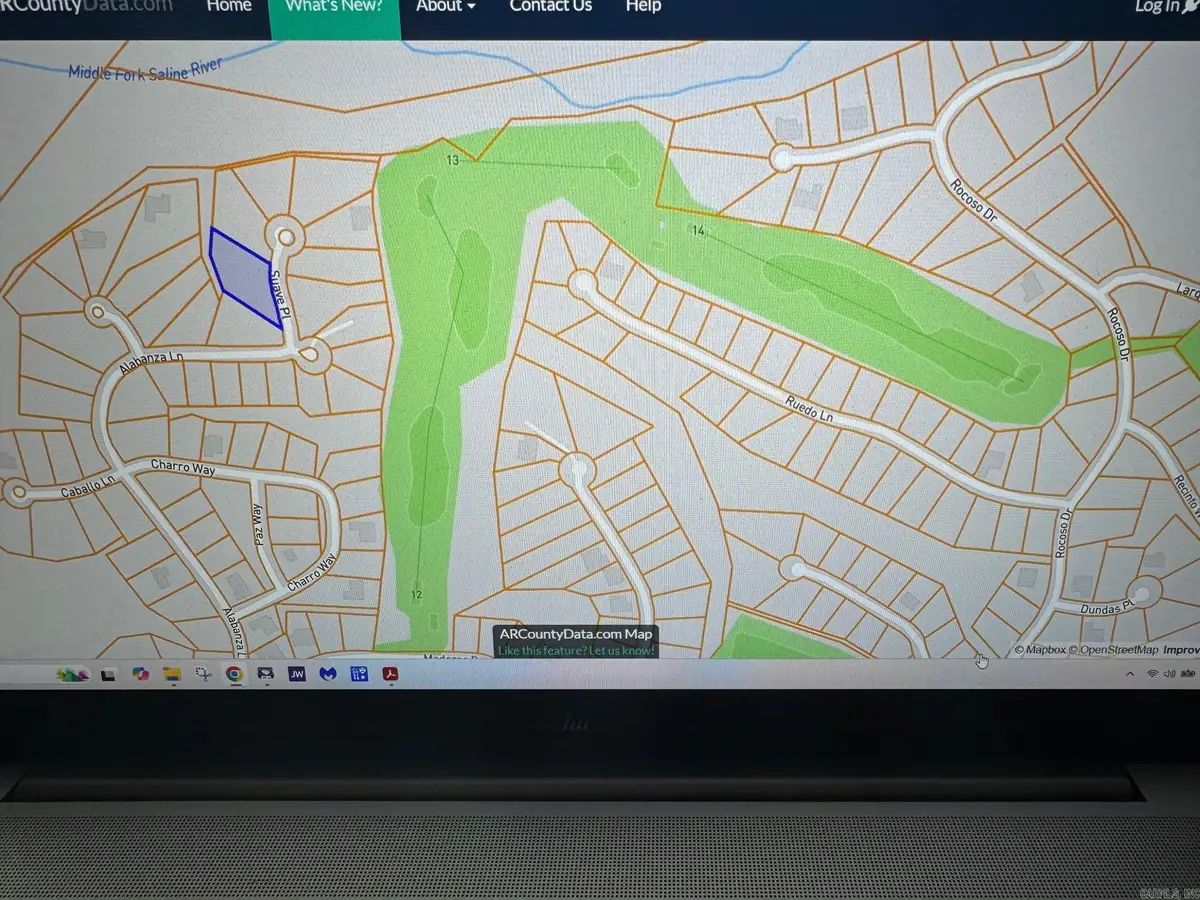 43 Suave Place, Hot Springs Village, AR 71909 - #1