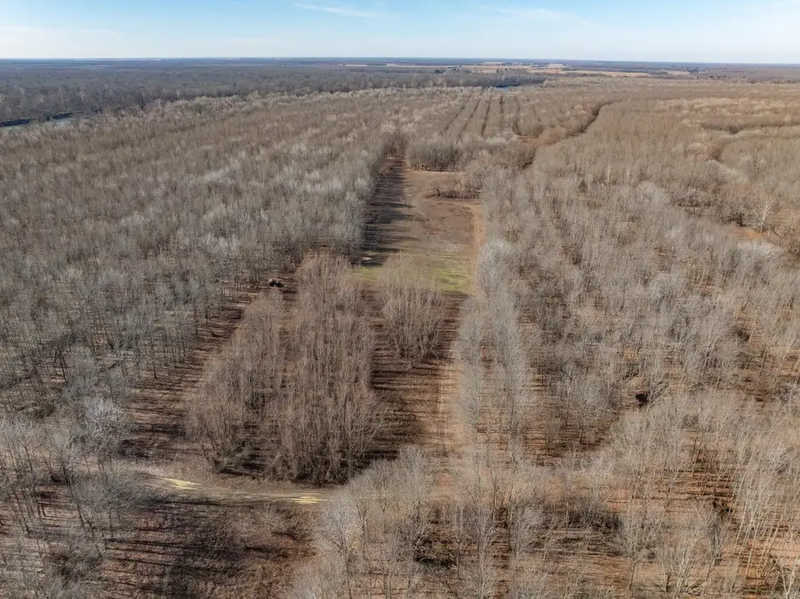 Address Withheld By Seller, Augusta, AR 72006 - #3