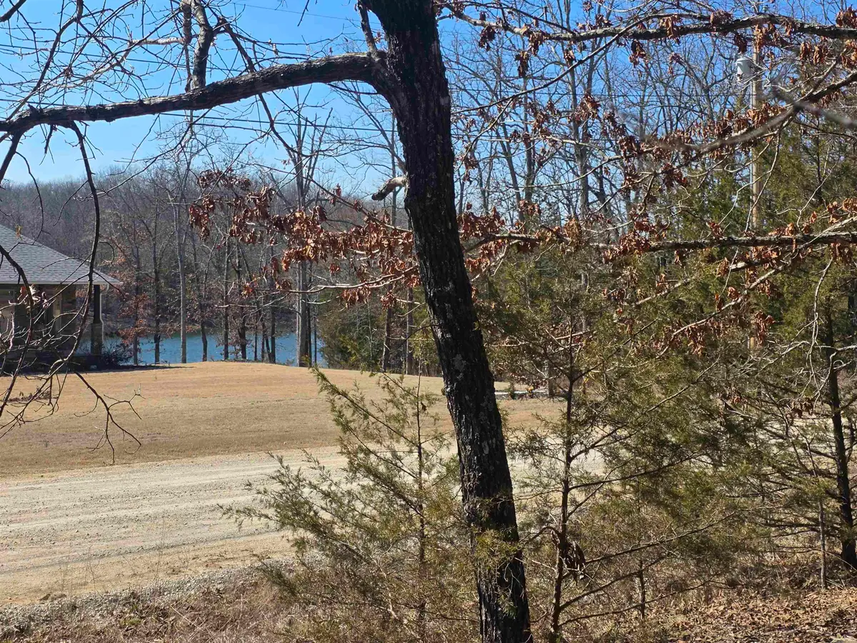 1112 Court Loop, Horseshoe Bend, AR 72512 - #1