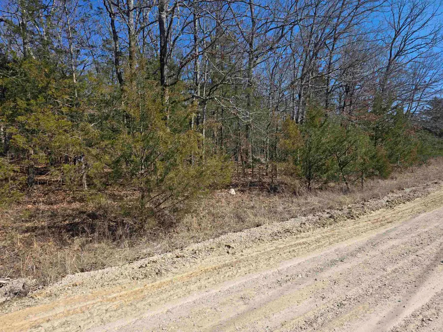 1112 Court Loop, Horseshoe Bend, AR 72512 - #3