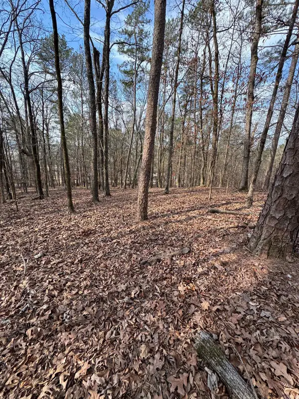 Address Withheld By Seller, Hot Springs, AR 71901