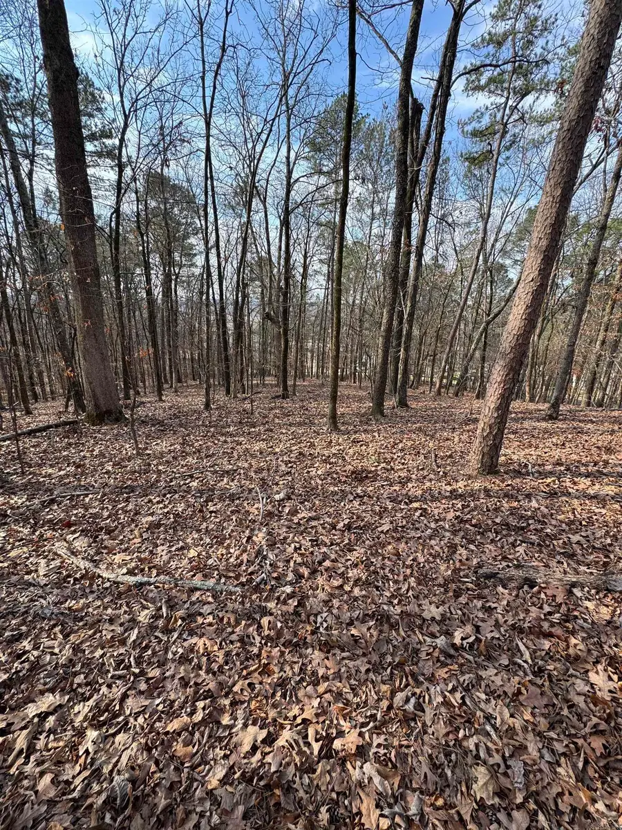 Address Withheld By Seller, Hot Springs, AR 71901 - #3