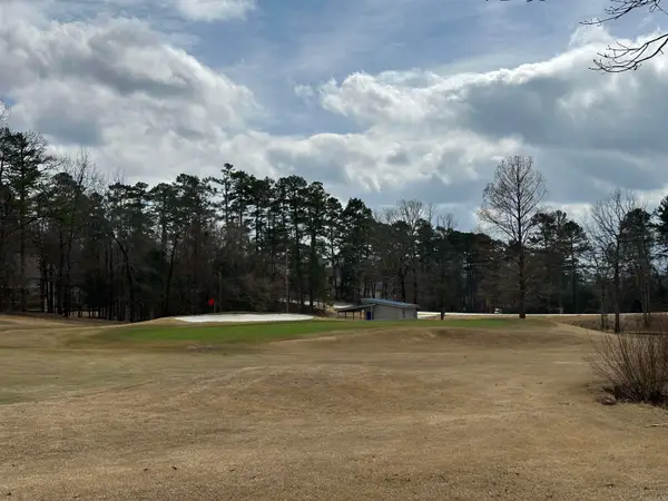 8 Pintuerero Lane, Hot Springs Village, AR 71909