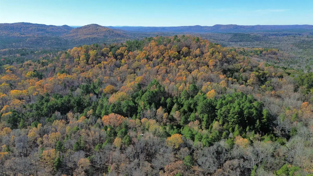 1980A Boyce Street, Melbourne, AR 72556 - #1