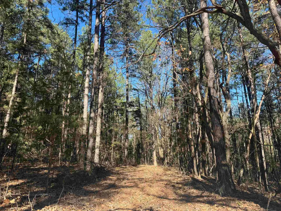 1980A Boyce Street, Melbourne, AR 72556 - #2