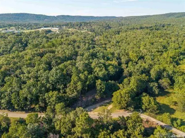 Address Withheld By Seller, Hot Springs, AR 71901 - #3