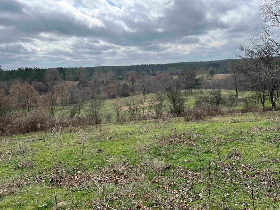 xx Shaw Road, Newhope, AR 71959 - #3