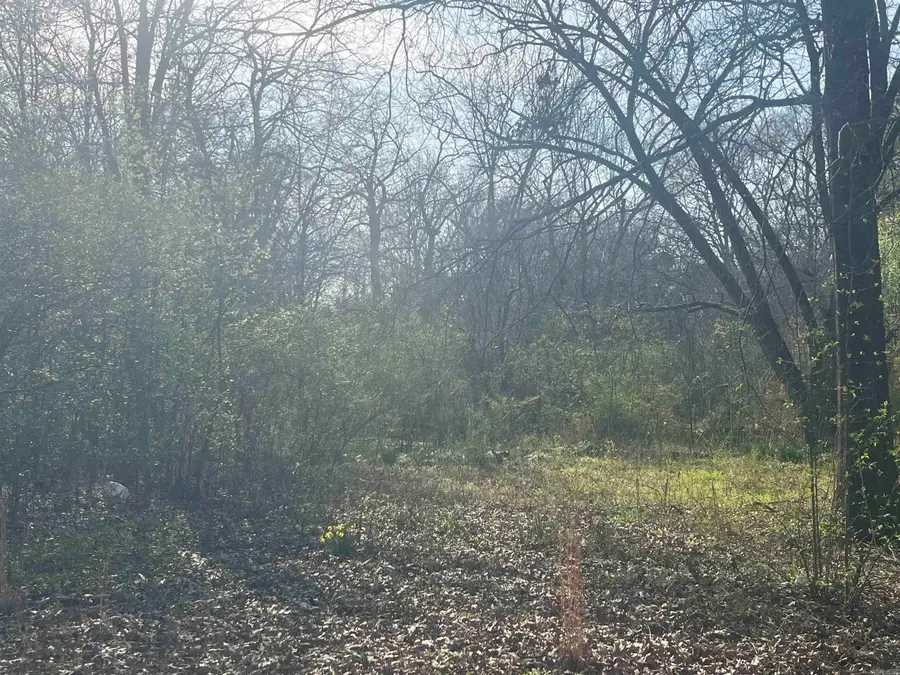 Rock Street, Malvern, AR 72104 - #2