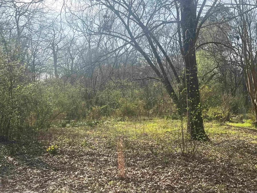 Rock Street, Malvern, AR 72104 - #3