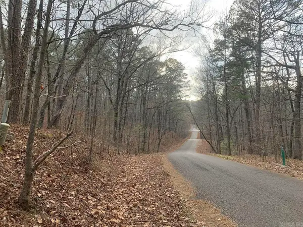 Address Withheld By Seller, Hot Springs Village, AR 71909