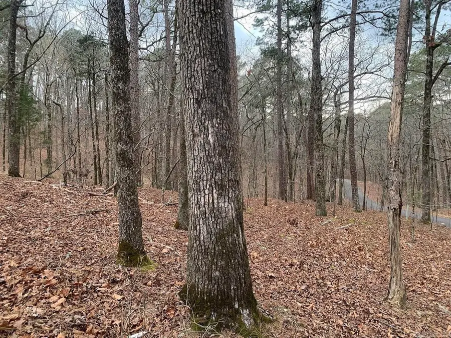 Address Withheld By Seller, Hot Springs Village, AR 71909 - #3