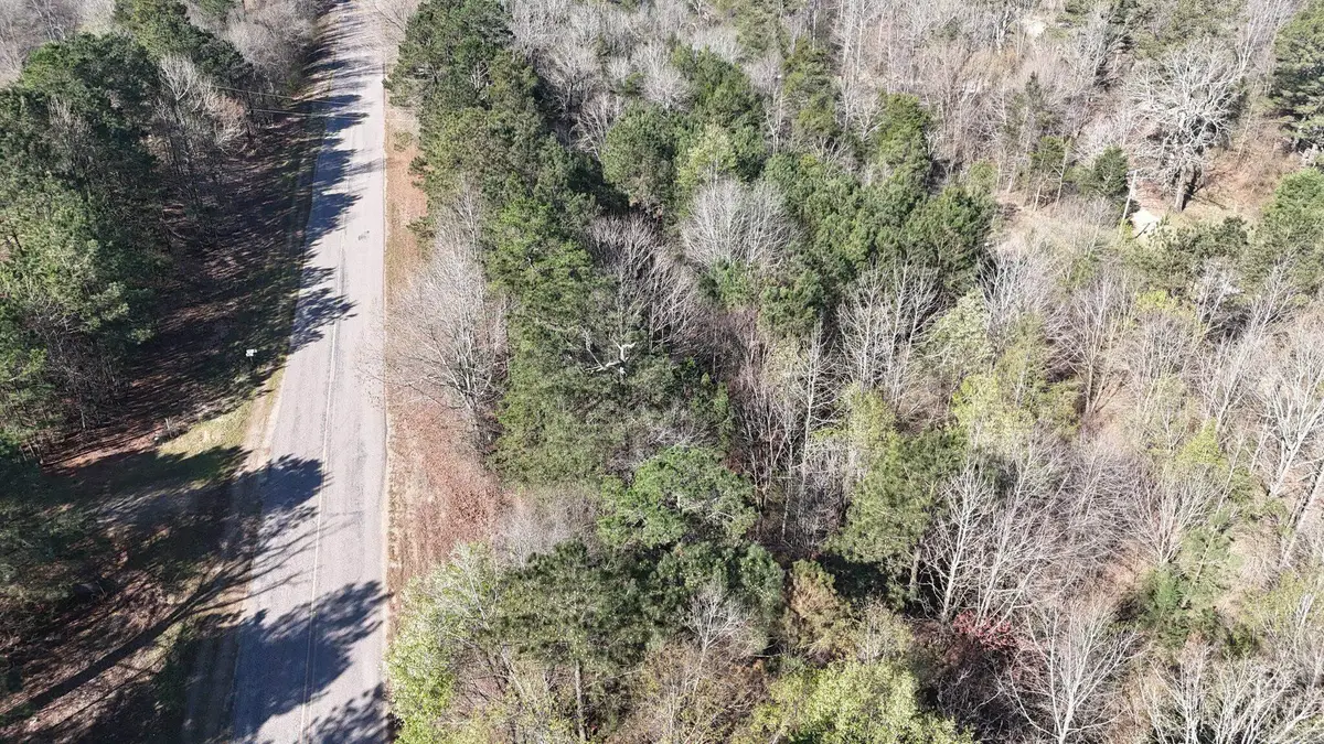 TBD Gillham Lake Road, Mineral, AR 79841 - #1