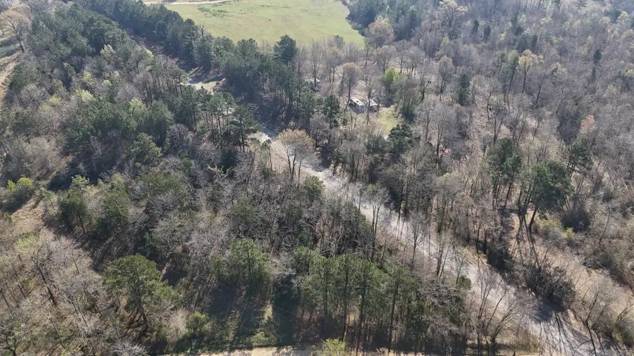 TBD Gillham Lake Road, Mineral, AR 79841 - #3