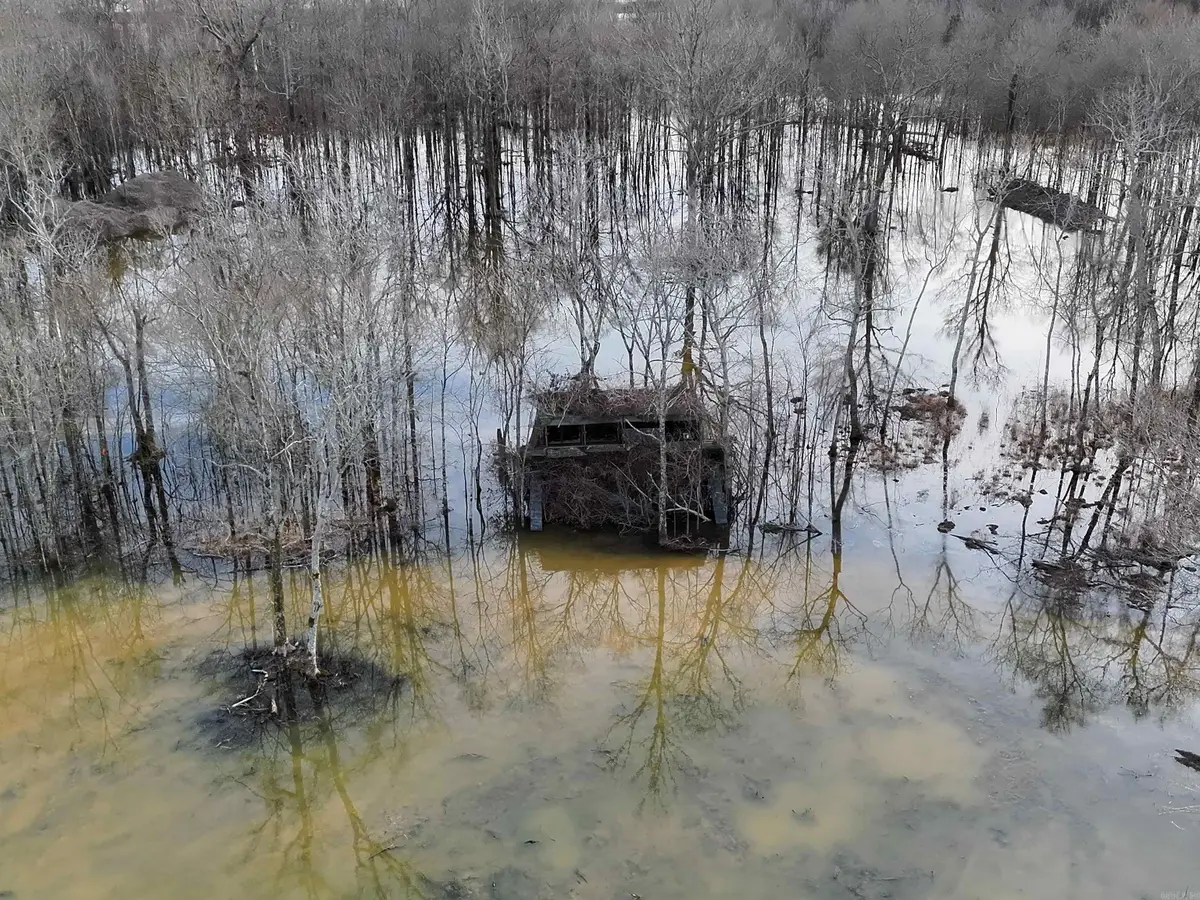 Address Withheld By Seller, Cash, AR 72421 - #1