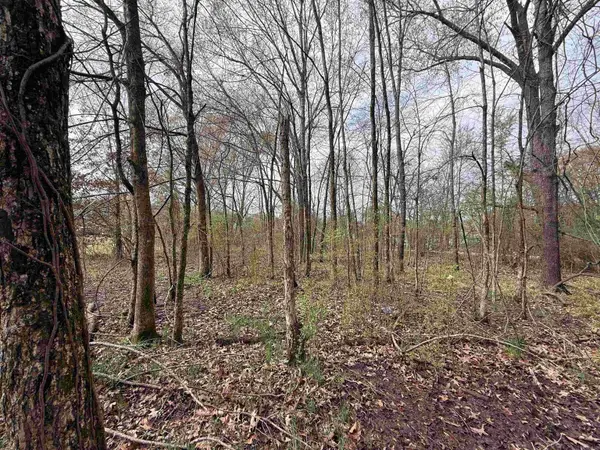 Third Street, Prescott, AR 71864