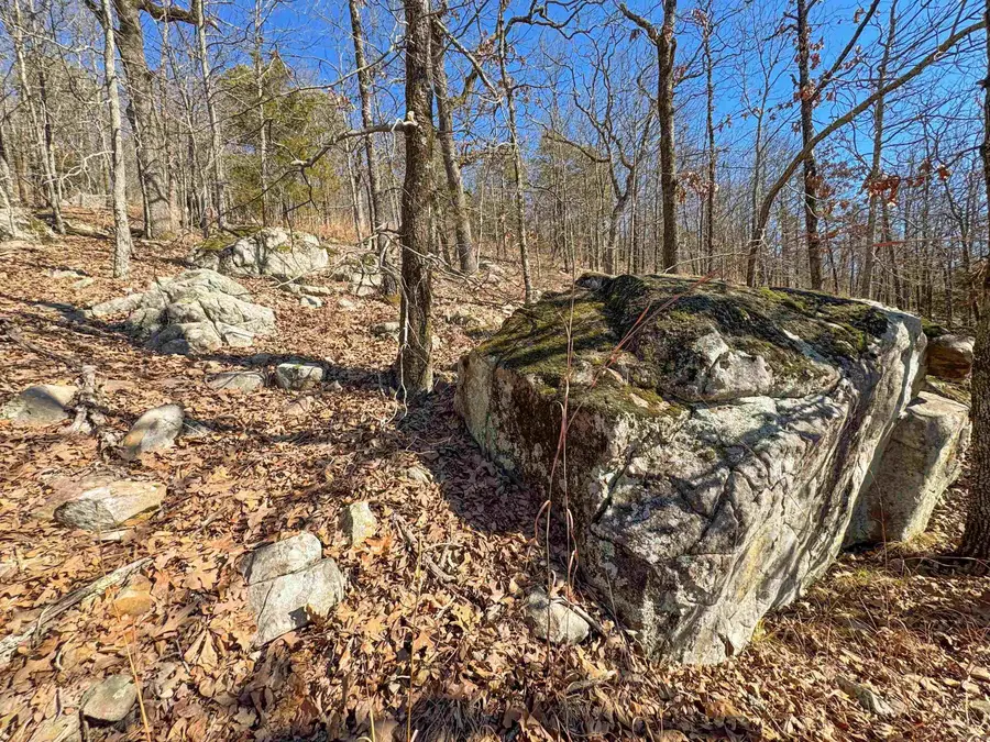 2 High Point Drive, Mayflower, AR 72106 - #2