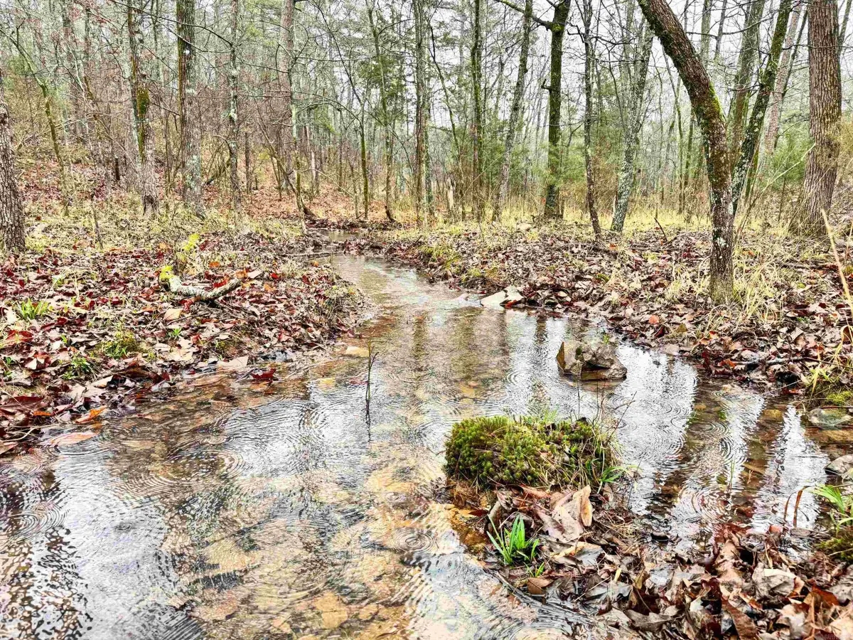 11 High Point Drive, Mayflower, AR 72106 - #1