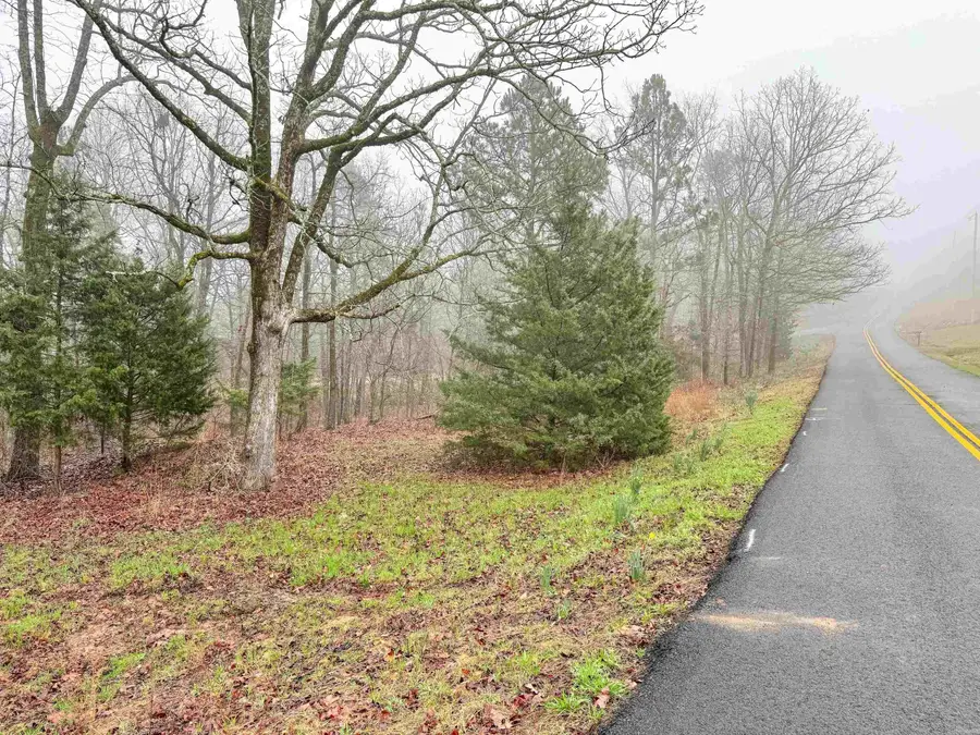 37 High Point Drive, Mayflower, AR 72106 - #2