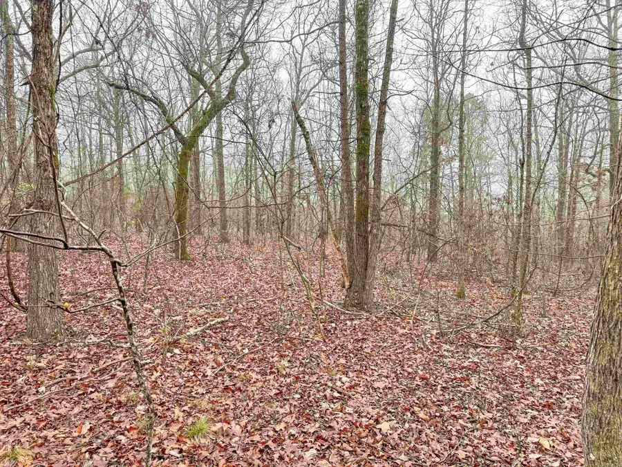 37 High Point Drive, Mayflower, AR 72106 - #3