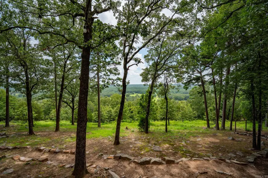 4135 Zachary Trail, Conway, AR 72032 - #2