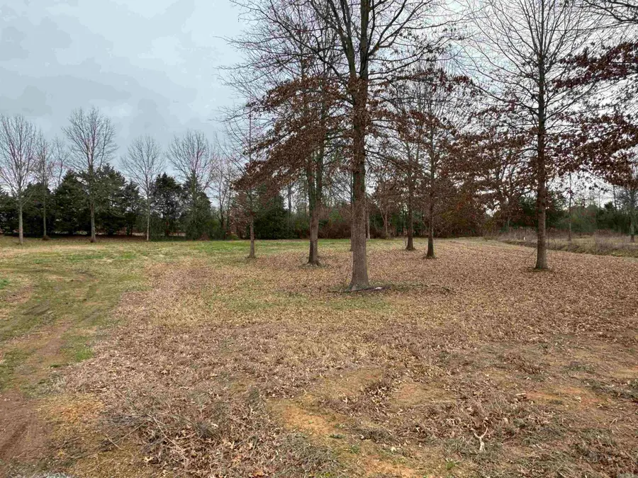 27R River Birch Drive, Guy, AR 72061 - #2