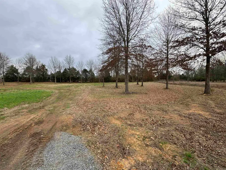 27R River Birch Drive, Guy, AR 72061 - #3