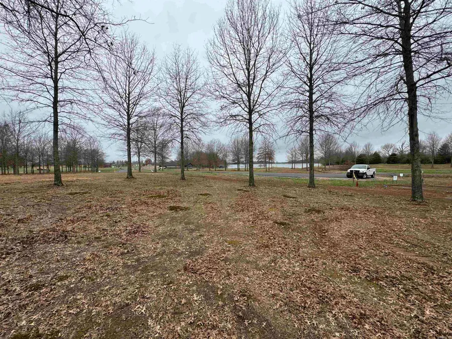 30R River Birch Drive, Guy, AR 72061 - #2