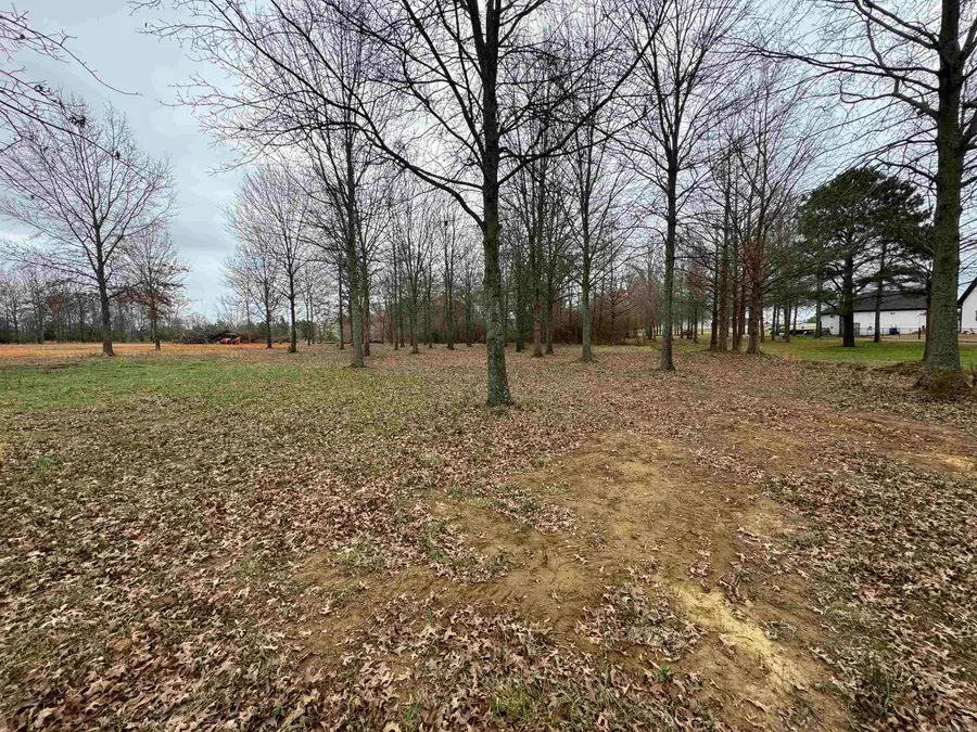 32R River Birch Drive, Guy, AR 72061 - #3