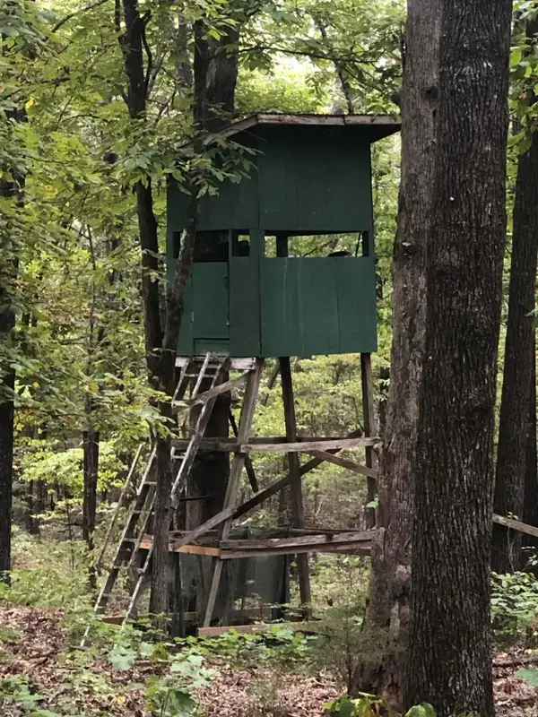 Lot 51-52 Buck Ridge Lane, Williford, AR 72482