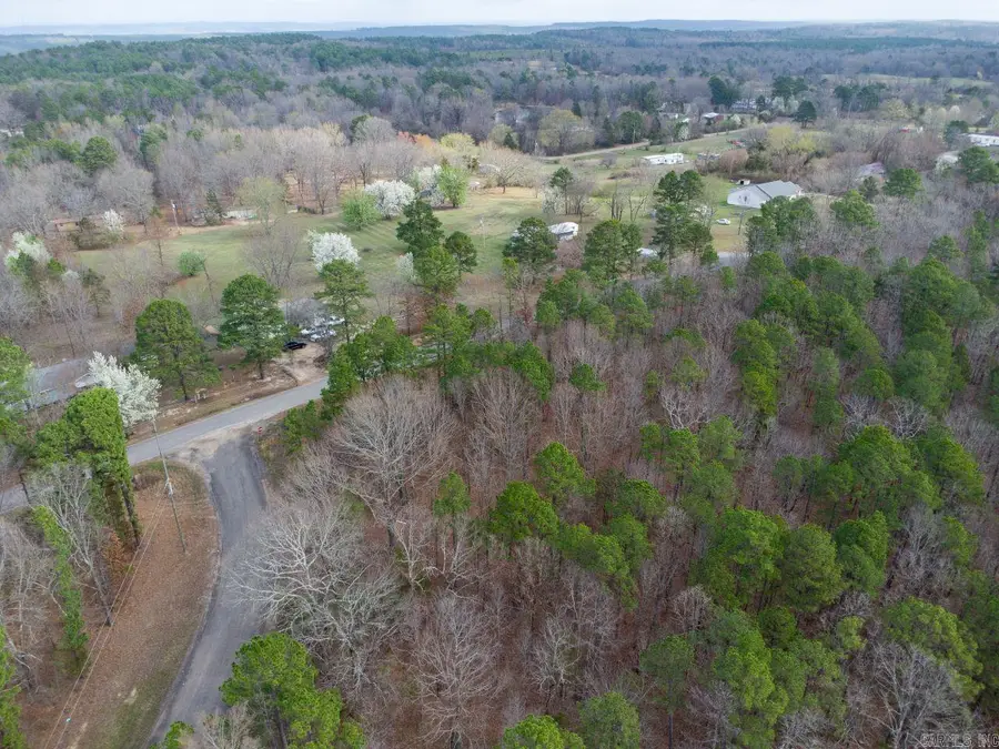 12 Southview Lane, Bigelow, AR 72016 - #2