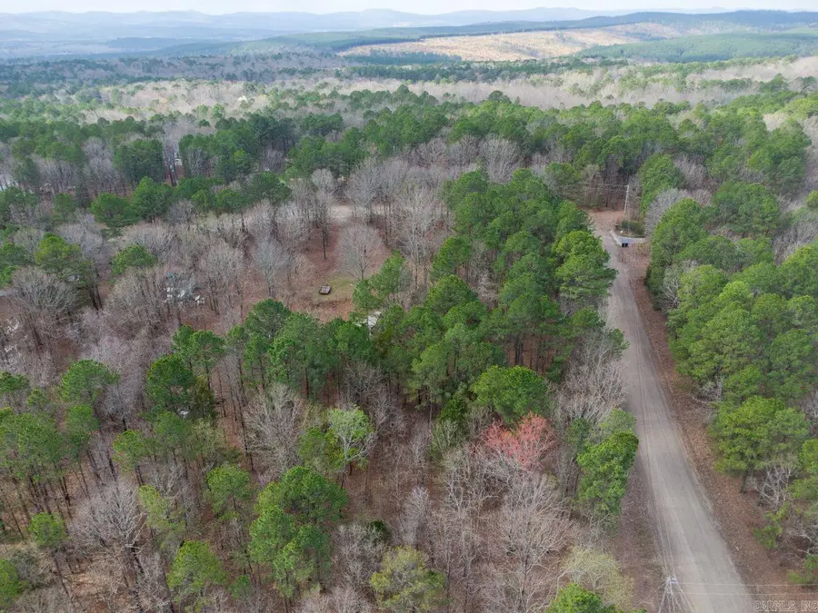 12 Southview Lane, Bigelow, AR 72016 - #3