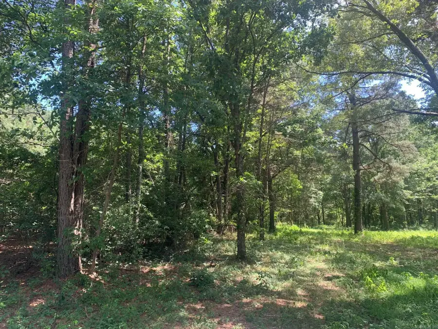 365 Skinner Road, Austin, AR 72007 - #2