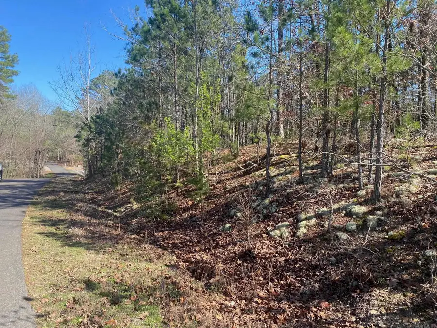 10 Telon Lane, Hot Springs Village, AR 71909 - #2