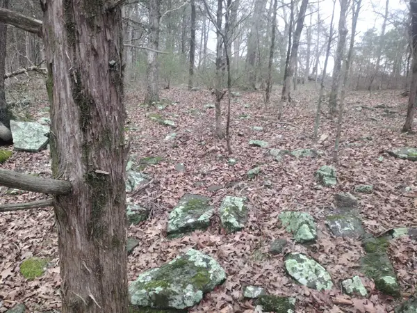 tract 3 Hwy 14 E, Mountain View, AR 72560