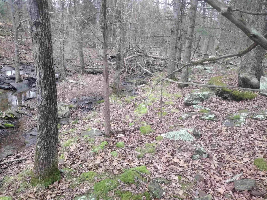 tract 3 Hwy 14 E, Mountain View, AR 72560 - #2