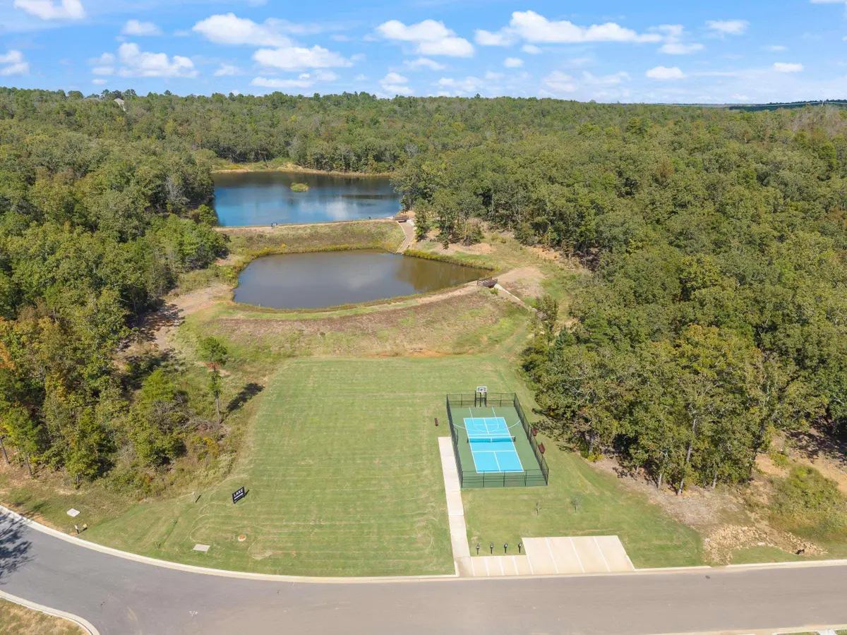 13207 Snowy Cove, Maumelle, AR 72113 - #1