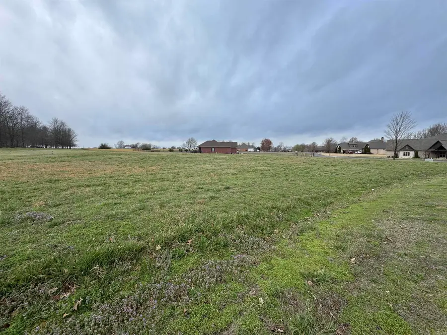 23 Win Meadow Ln., Greenbrier, AR 72058 - #3