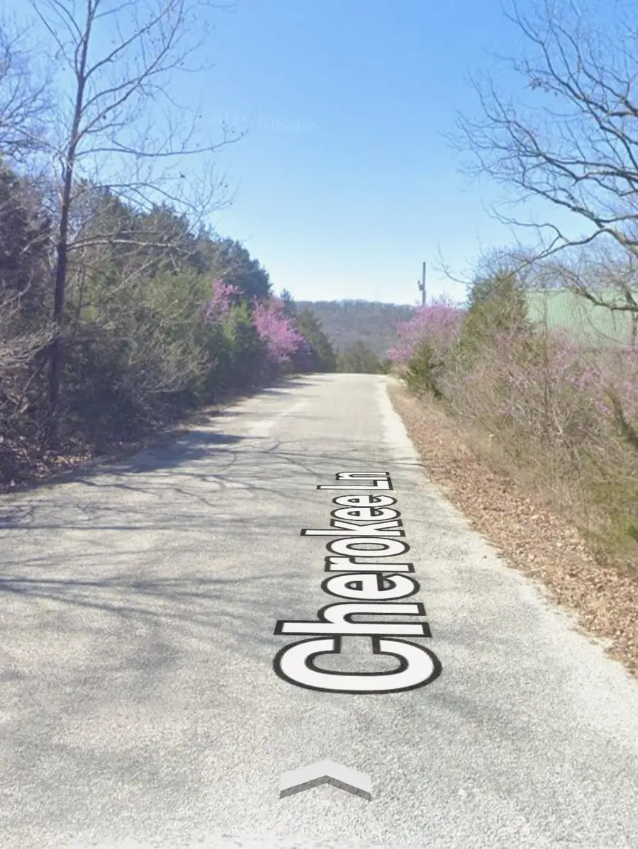 Lot 1 Cherokee Lane, Franklin, AR 72631 - #3