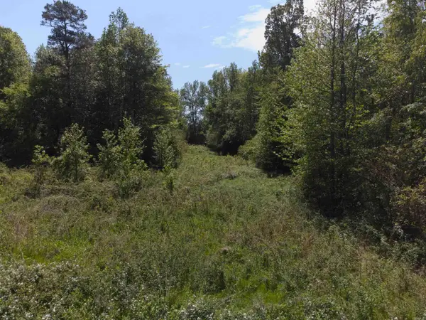 10 Acres off Turner Road, Rose Bud, AR 72137