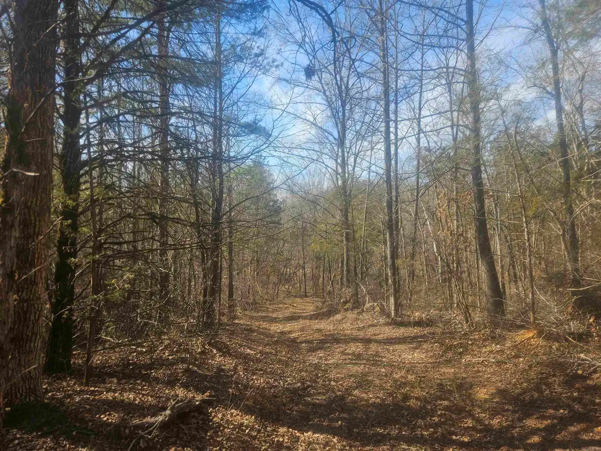 000 Fawn Road, Big Flat, AR 72617 - #1