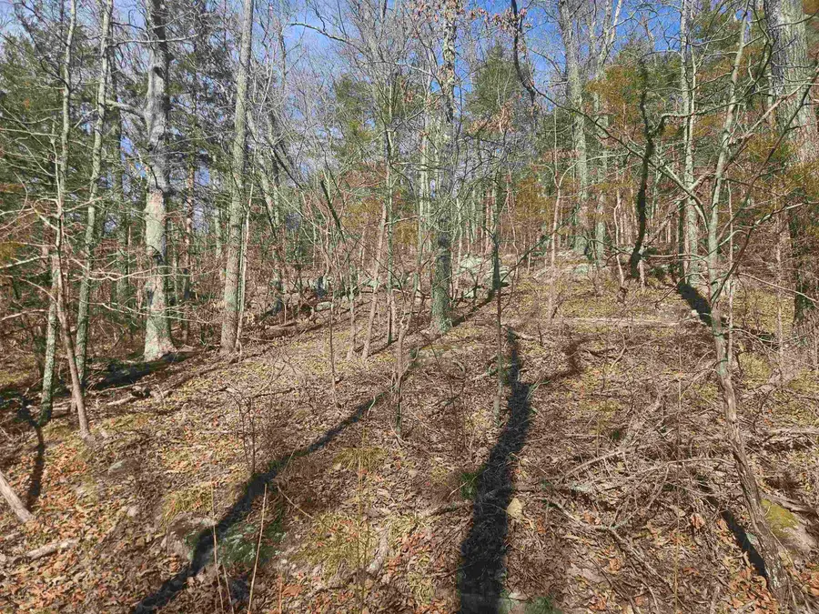 000 Fawn Road, Big Flat, AR 72617 - #2