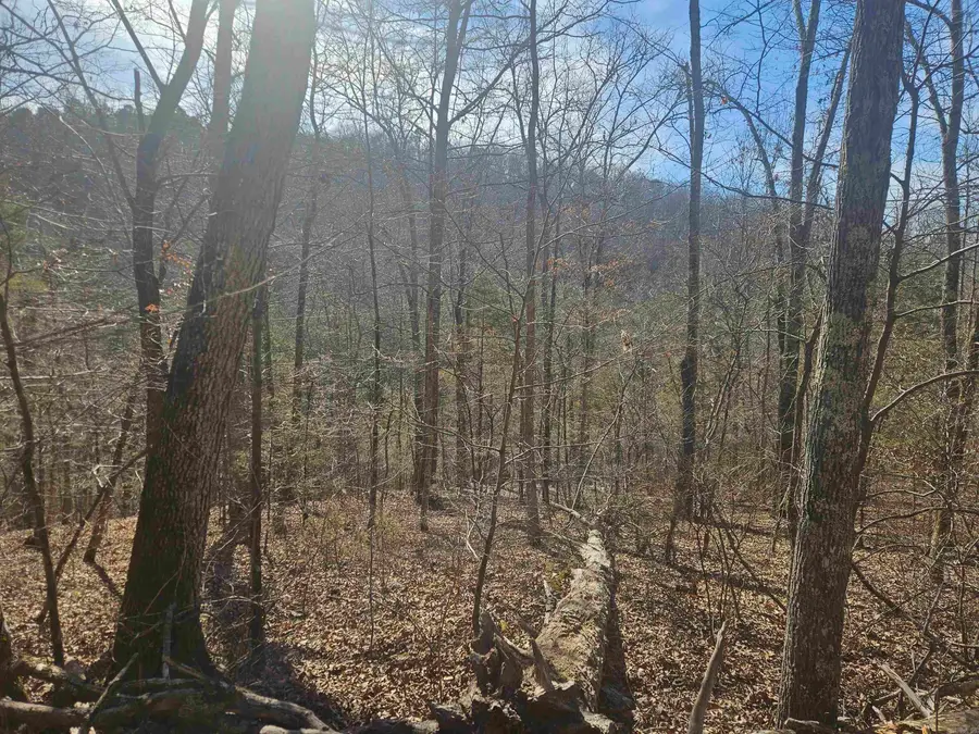 000 Fawn Road, Big Flat, AR 72617 - #3