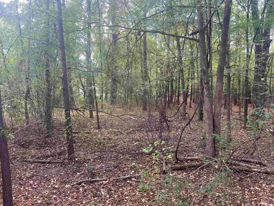 000 Middle Warren Rd, Pine Bluff, AR 71603 - #2