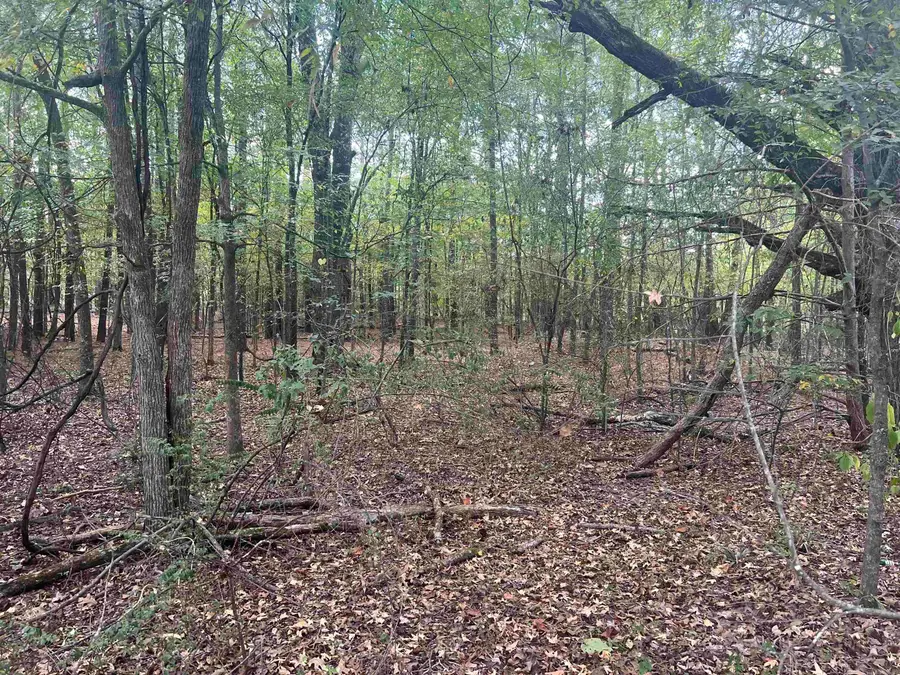 000 Middle Warren Rd, Pine Bluff, AR 71603 - #3